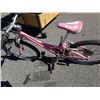 Image 3 : PINK TREK BIKE