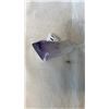 Image 1 : AMETHYST ROUGH POINT  - RETAIL $400