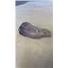 Image 1 : AMETHYST POINT - RETAIL $400