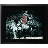 Image 1 : MICHAEL JORDAN SIGNED AND CUSTOM FRAMED THE SHOT 20 X 24 (UPPER DECK COA)