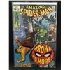Image 1 : The AMAZING SPIDER-MAN #79   (MARVEL COMICS)