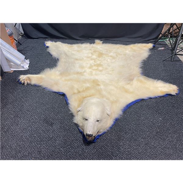 Authentic Polar Bear, Carpet Snout To Tail 95" Paw To Paw 90"