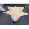 Image 1 : Authentic Polar Bear, Carpet Snout To Tail 95" Paw To Paw 90"