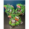 Image 1 : Lot of 3 Pokemon Rayquaza Plushies