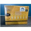 Image 1 : Lot of 1 Box of E26 Dimmable/Decorative Bulbs - 6pcs in box