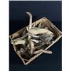 Image 1 : Nice Lot Of Driftwood, Small Burls,Old Horns & More. Great For Crafting