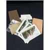 Image 3 : Lot Of Vintage Postcards