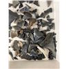 Image 3 : Lot Of Shark Teeth