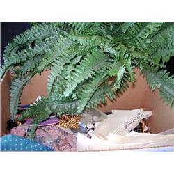 Box: Sewing Notions; & Artificial Fern