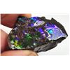 Image 1 : MULTI COLORED 59 CT AMMOLITE SPECIMEN,