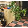 Image 1 : LIVE POTTED TREE