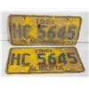 Image 1 : 1961 LICENSE PLATES- SET OF 2