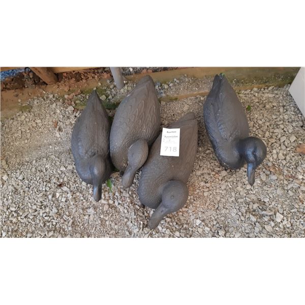 Decoy Ducks Cat B
