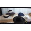 Image 1 : Hats Cat A