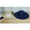 Image 6 : Hats Cat A