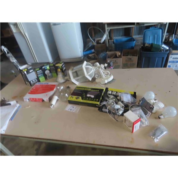 LED + Regular Light Bulbs, Outdoor Wall 