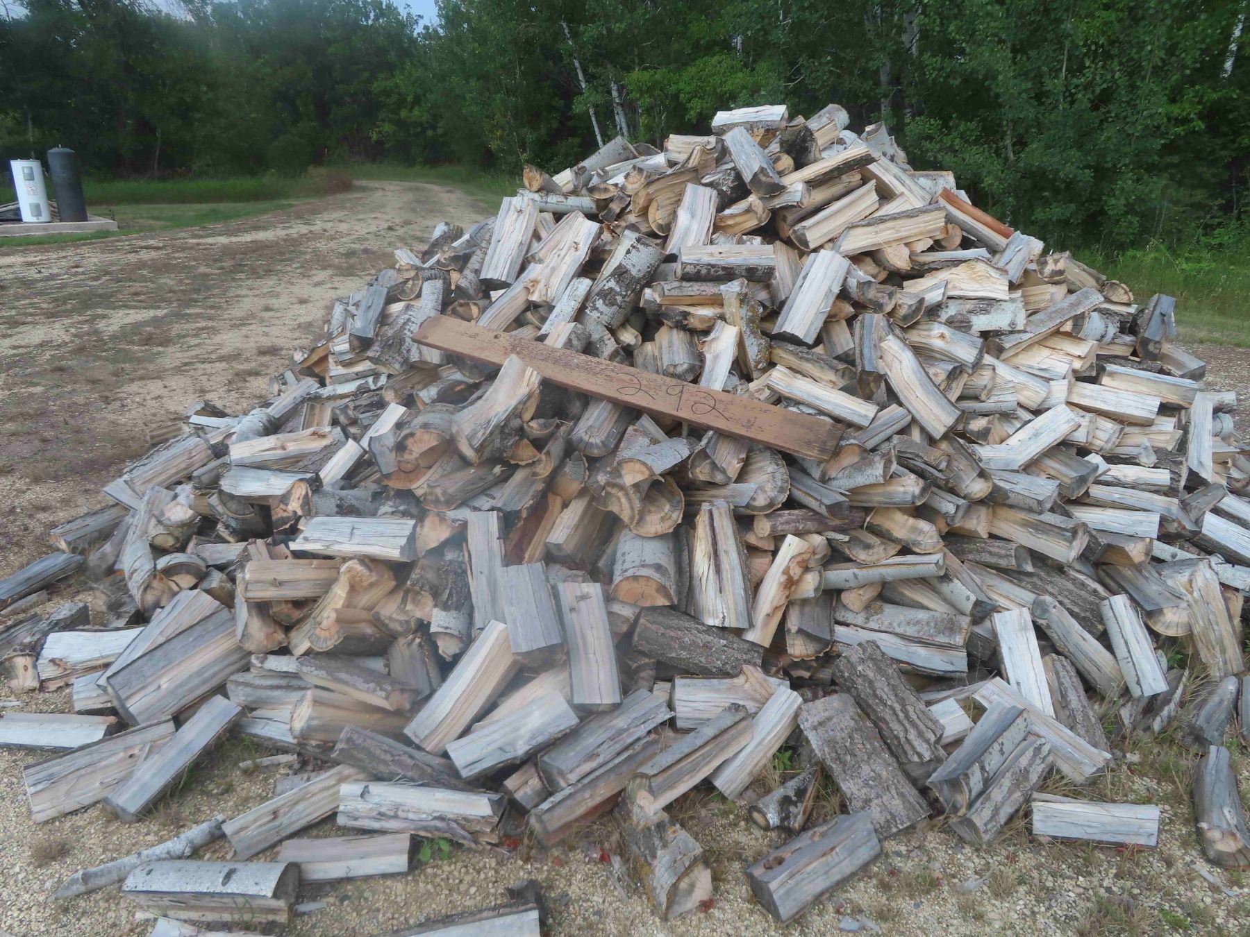 Poplar Cut / Split Wood Approx 3 Cords or