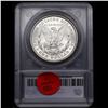 Image 5 : ***Auction Highlight*** 1878-p 8tf Morgan Dollar $1 Graded ms64+ BY SEGS (fc)