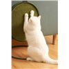 Image 2 : Cat Accessory