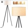 Image 1 : Floor Lamp