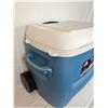 Image 2 : Igloo Cooler