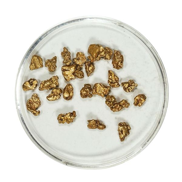 Gold Nuggets 3.76 Grams Total Weight