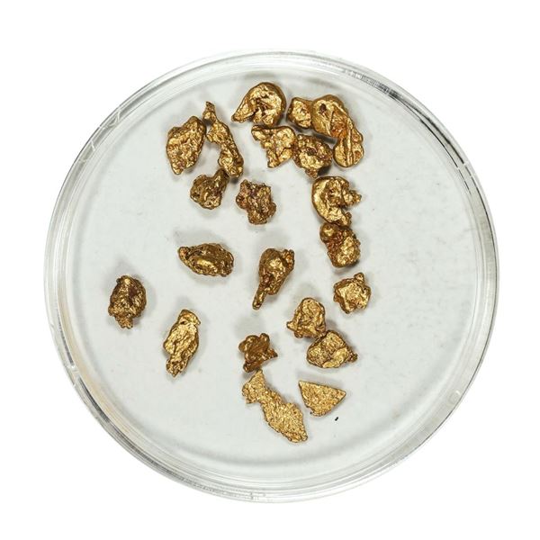 Gold Nuggets 3.56 Grams Total Weight