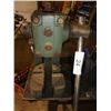 Image 2 : Arbour press