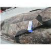 Image 2 : Camourflage tent / blind