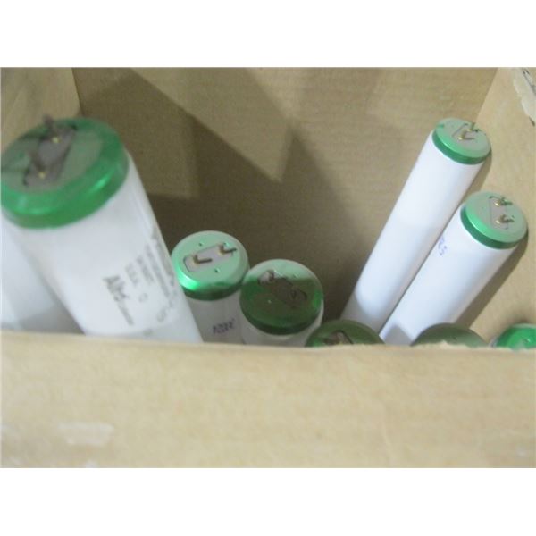 fluorescent lighting bulbs