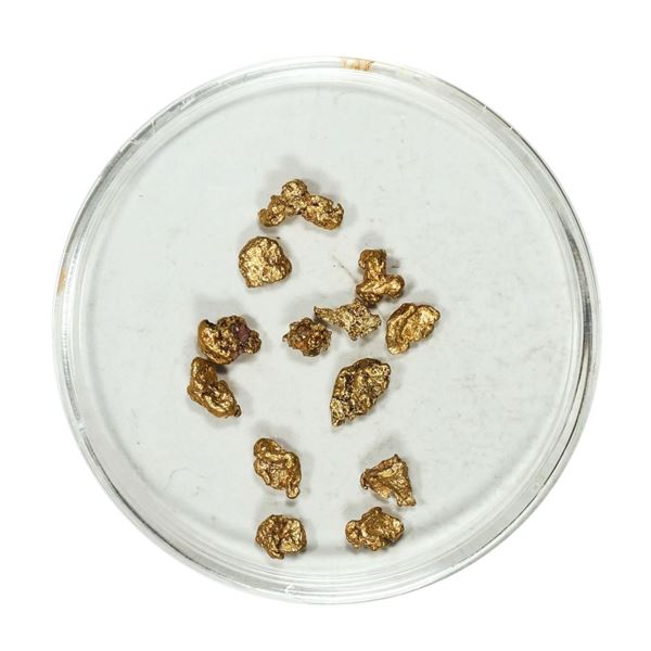 Gold Nuggets 2.12 Grams Total Weight