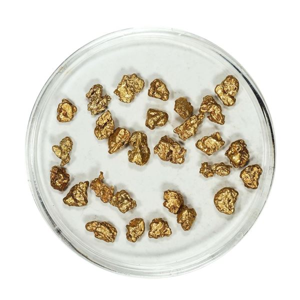 Gold Nuggets 4.81 Grams Total Weight