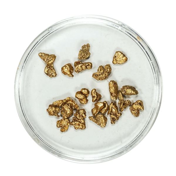 Gold Nuggets 3.60 Grams Total Weight