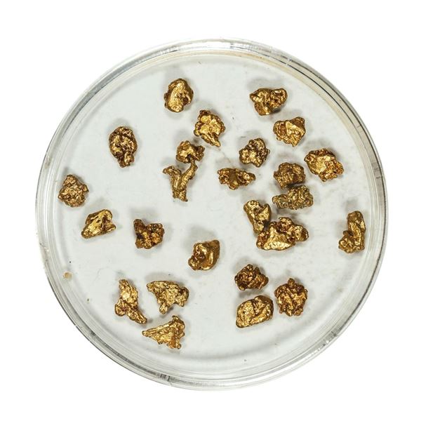 Gold Nuggets 3.34 Grams Total Weight