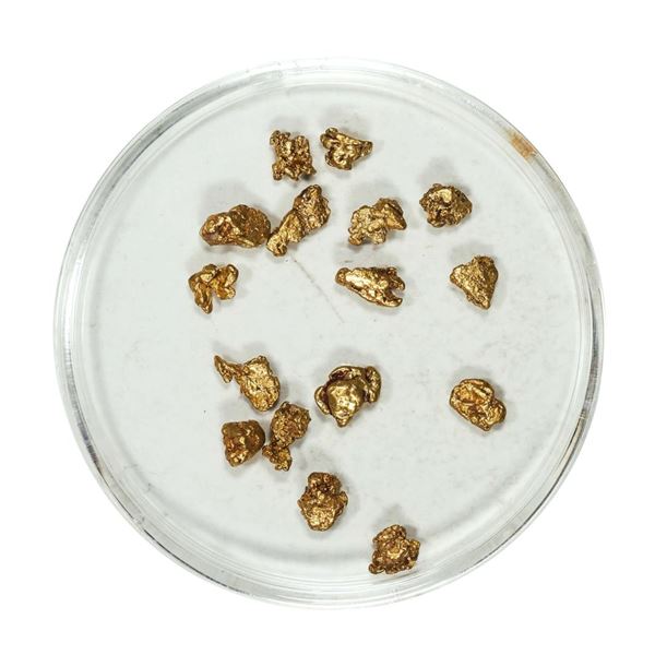 Gold Nuggets 2.62 Grams Total Weight
