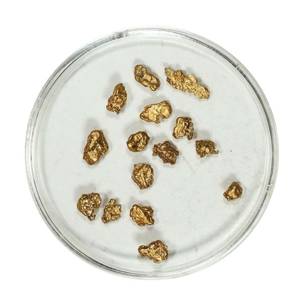 Gold Nuggets 2.39 Grams Total Weight