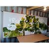 Image 1 : Oil On Canvas (Plant) By Adams 1982 121"W X 49"H