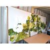 Image 2 : Oil On Canvas (Plant) By Adams 1982 121"W X 49"H