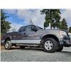 Image 15 : A12A --  2004 FORD F150 4X4 SUPERCAB, Grey, 300,553 KM