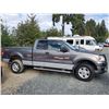 Image 19 : A12A --  2004 FORD F150 4X4 SUPERCAB, Grey, 300,553 KM