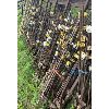 Image 2 : QTY ELECTRIC FENCE STAKES - APPROX 150