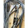 Image 2 : EXTENTION CORD - 100 FOOT