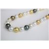 Image 3 : 10-12mm Golden South Sea and Tahitian Multi Color Round Necklace with Gold Clasp