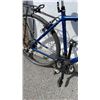 Image 2 : BLUE MIELE BIKE