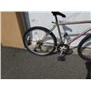 Image 2 : GREY ASAMA BIKE