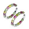 Image 1 : Natural Multi Color Tourmaline Earrings