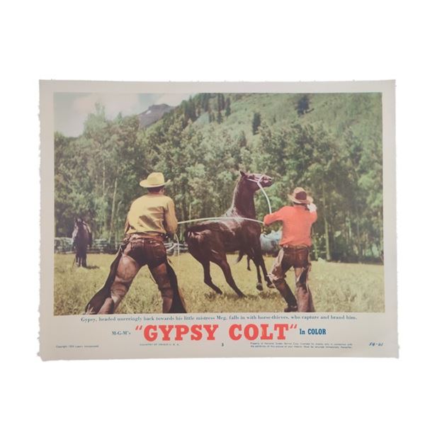 Gypsy Colt Lobby Card (1954)