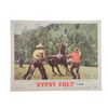 Image 1 : Gypsy Colt Lobby Card (1954)