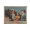 Image 1 : Gypsy Colt Lobby Card (1954)