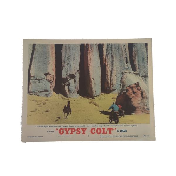 Gypsy Colt Lobby Card (1954)